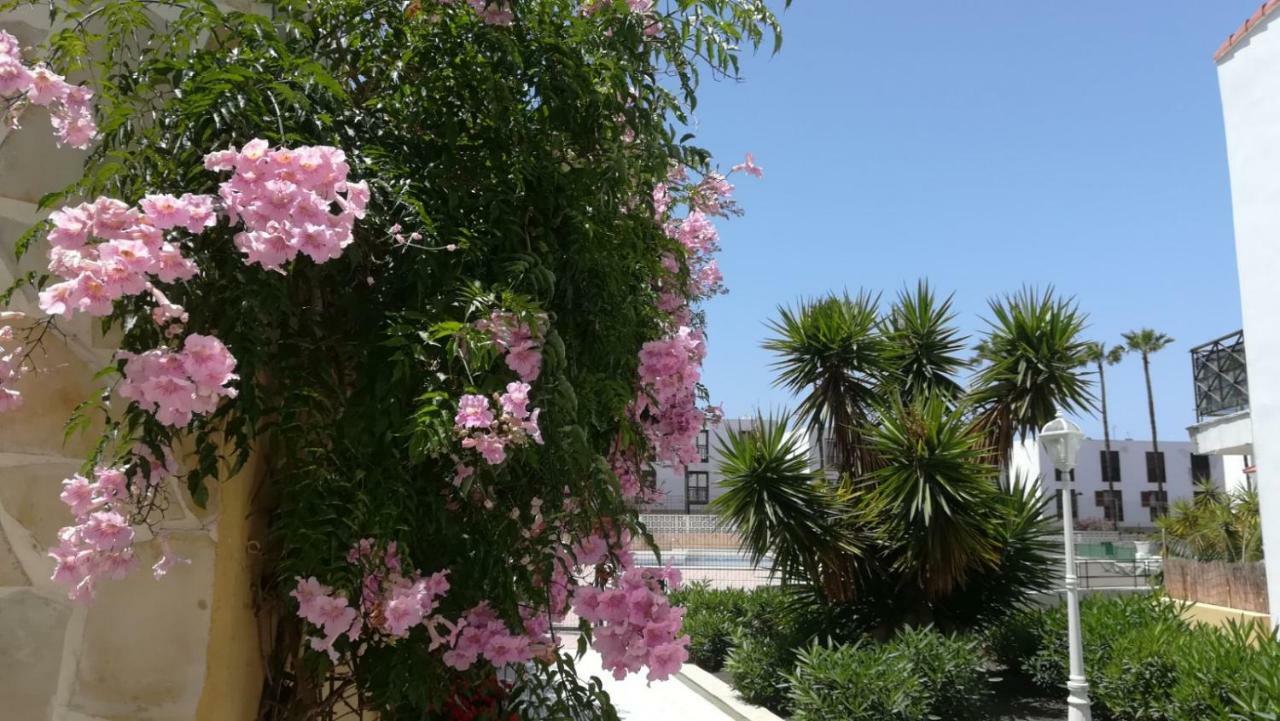 Tenerife Altamar Paradise Playa de las Americas  Exterior photo